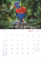 2026 Wall Calendar: All Creatures Great & Small, Bible Verse on Each Month