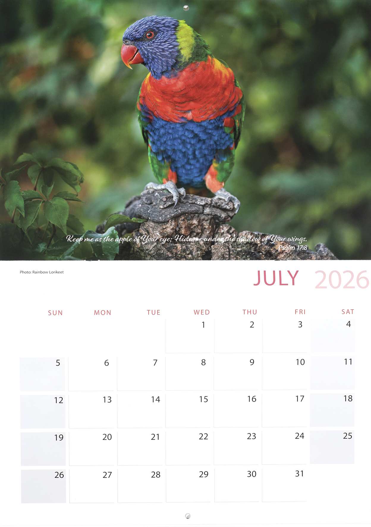 2026 Wall Calendar: All Creatures Great & Small, Bible Verse on Each Month