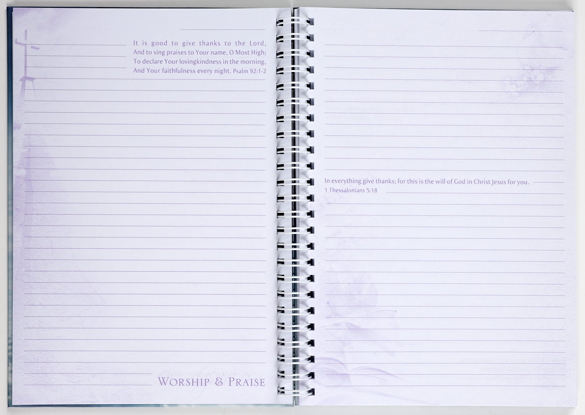 Journal: Wings Like Eagles