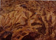 Communion Altar Bread: 1 1/8" Whole Wheat (Wafers) (Containter Of 1000)