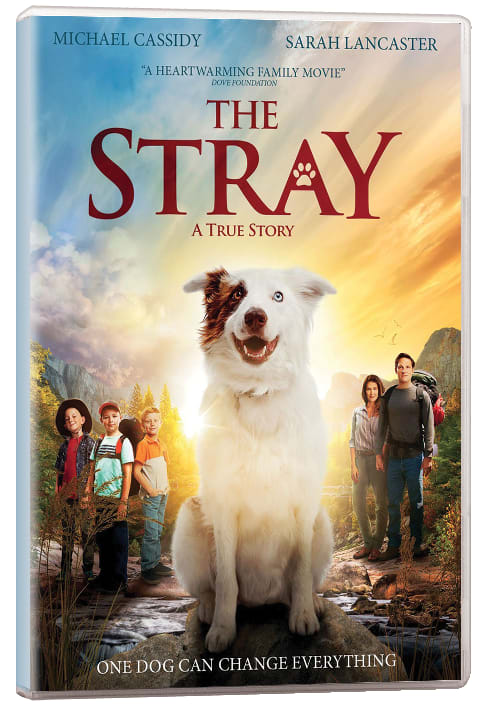 SCR the Stray Screening Licence Standard