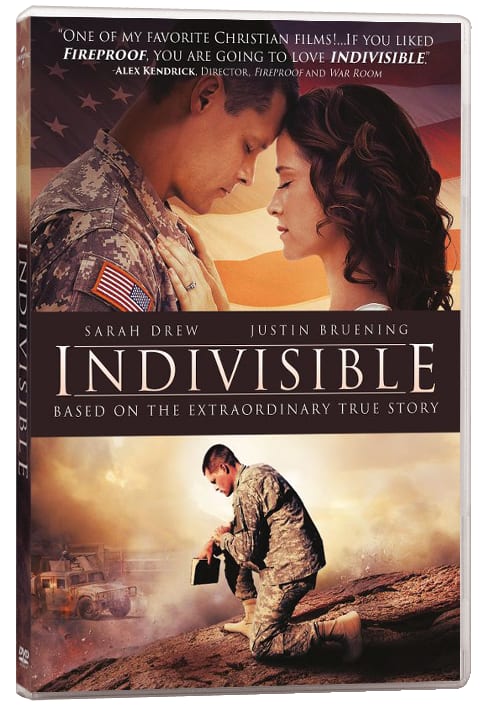 SCR Indivisible Screening Licence Large (500+ People)