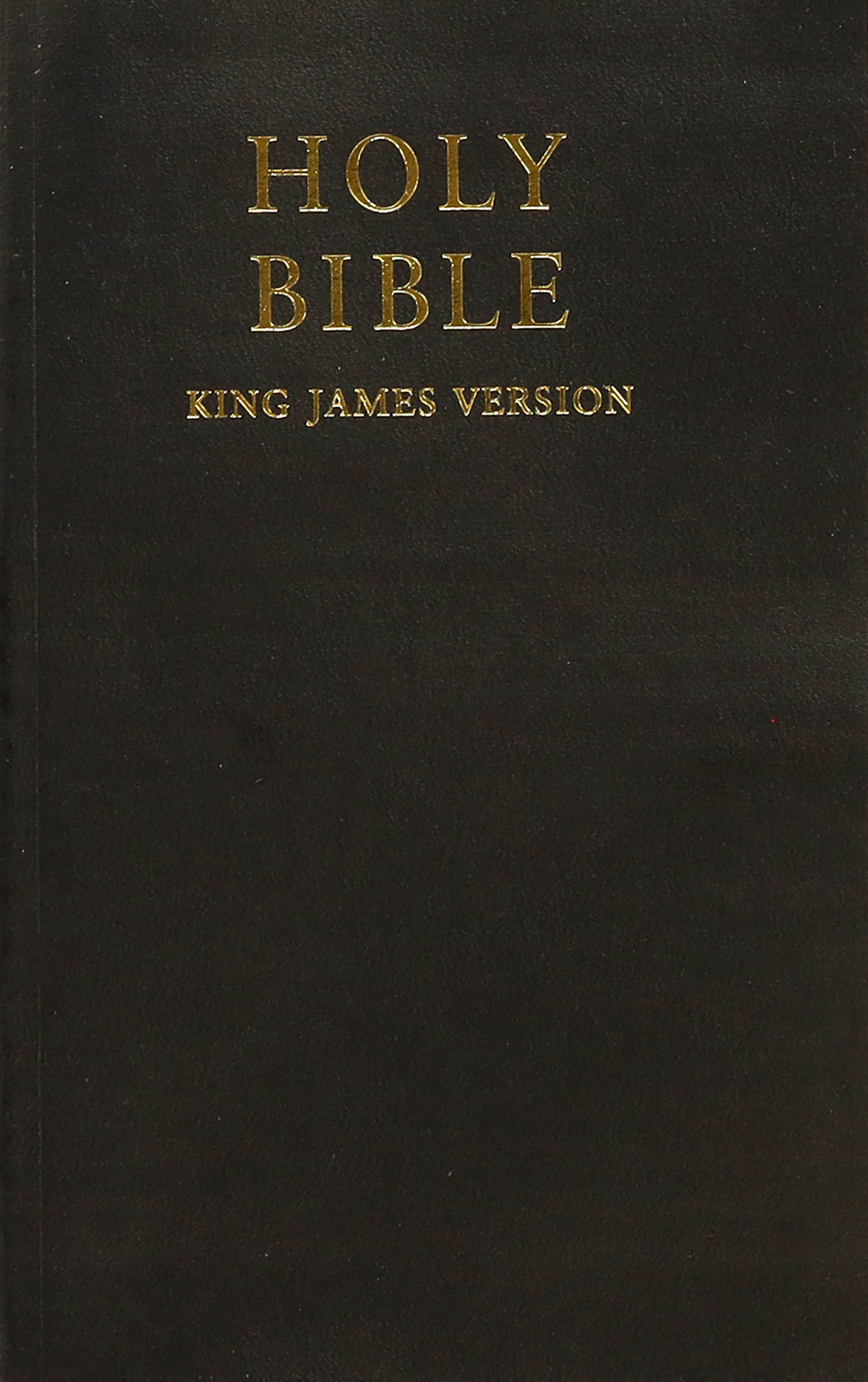 KJV Holy Bible Black