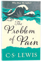 The Problem of Pain