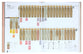 The Infographic Bible: Visualising the Drama of God's Word