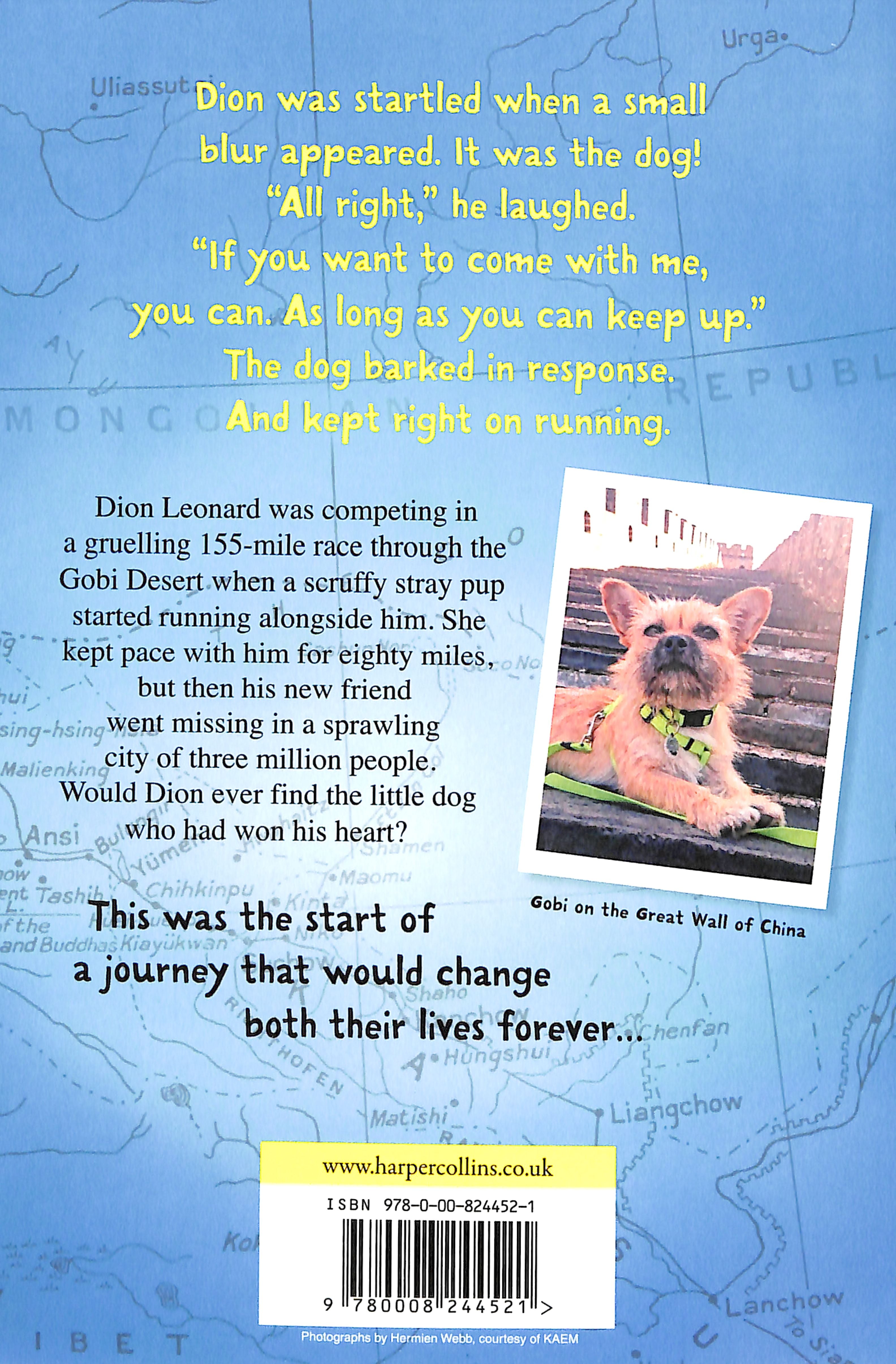 Finding Gobi: The True Story of One Little Dog's Big Journey