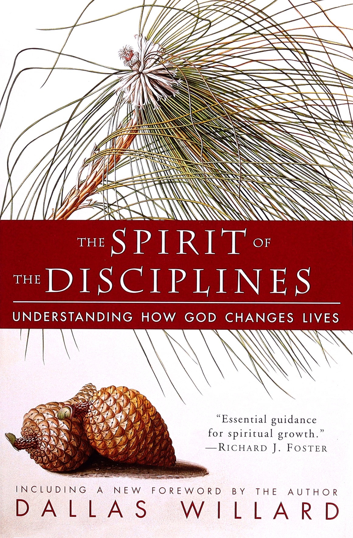 The Spirit of the Disciplines: Understanding How God Changes Lives