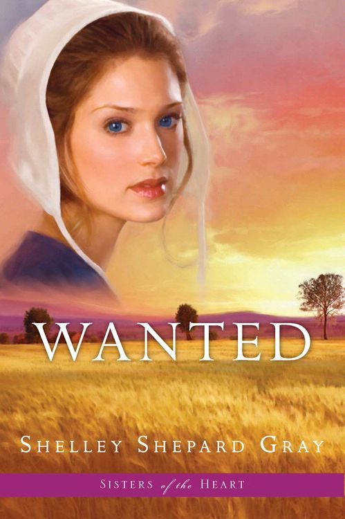 Wanted (#02 in Sisters Of The Heart Series)