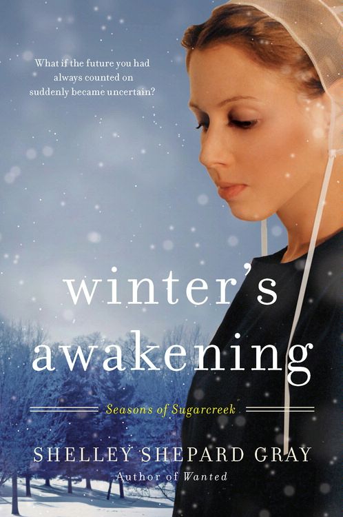 Winter's Awakening (#01 in Seasons Of Sugarcreek Series)