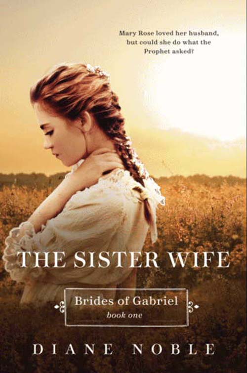Sister Wife (#01 in Brides Of Gabriel Series)