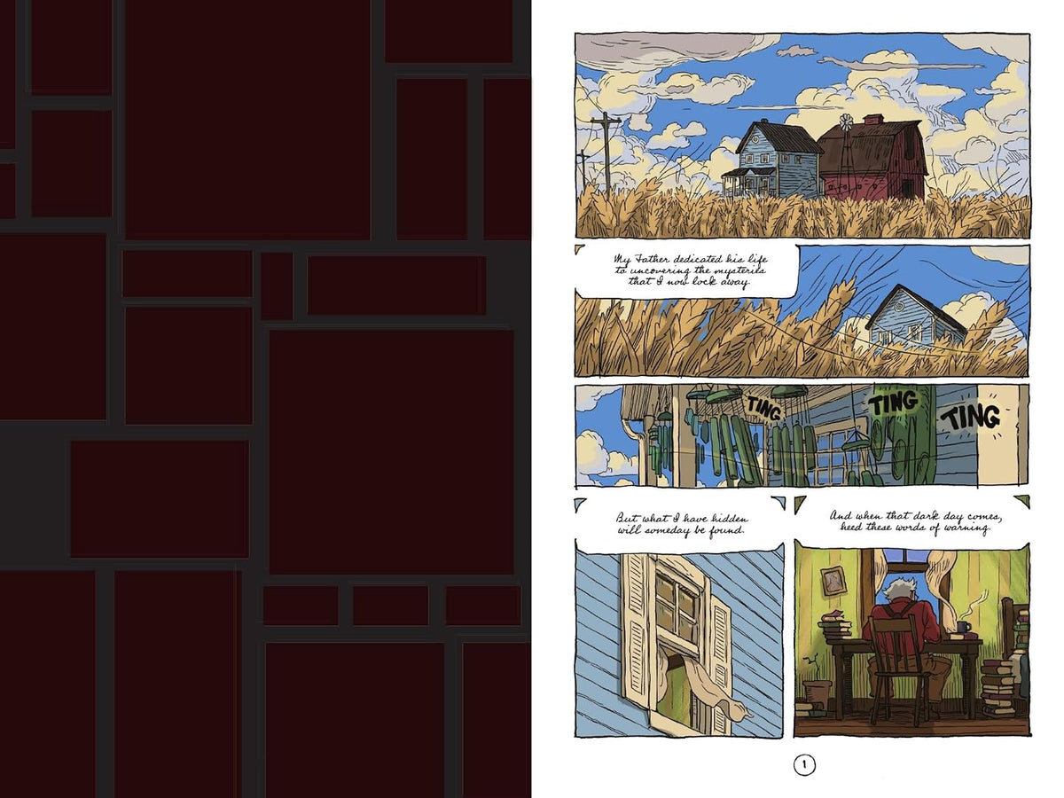 100 Cupboards: The Graphic Novel (100 Cupboards Series)