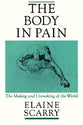 The Body in Pain