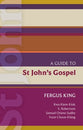 A Guide to St John's Gospel (#51 in International Study Guide Series)