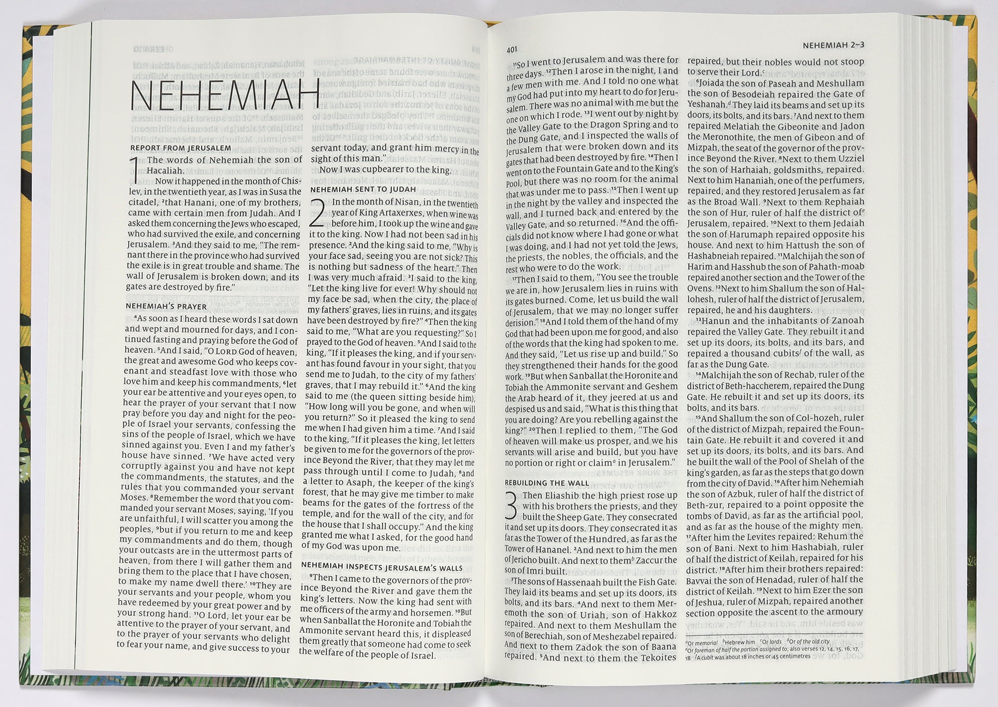 ESV-CE Catholic Bible Schools Edition