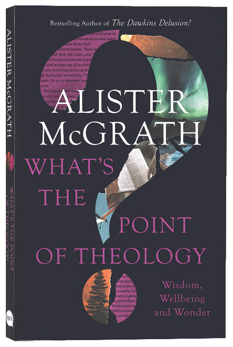 What's the Point of Theology?: Wisdom, Wellbeing and Wonder