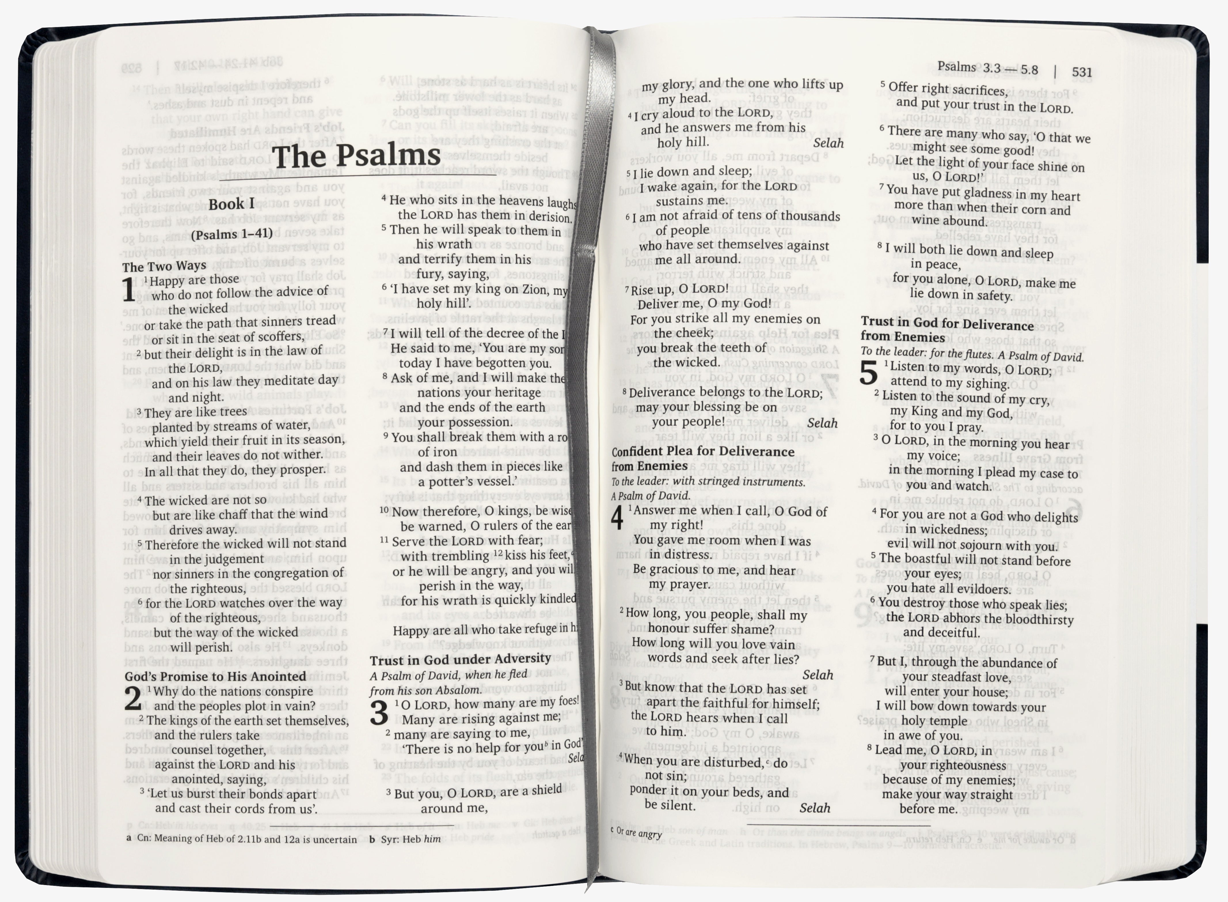 Nrsvue Holy Bible (Anglicised)