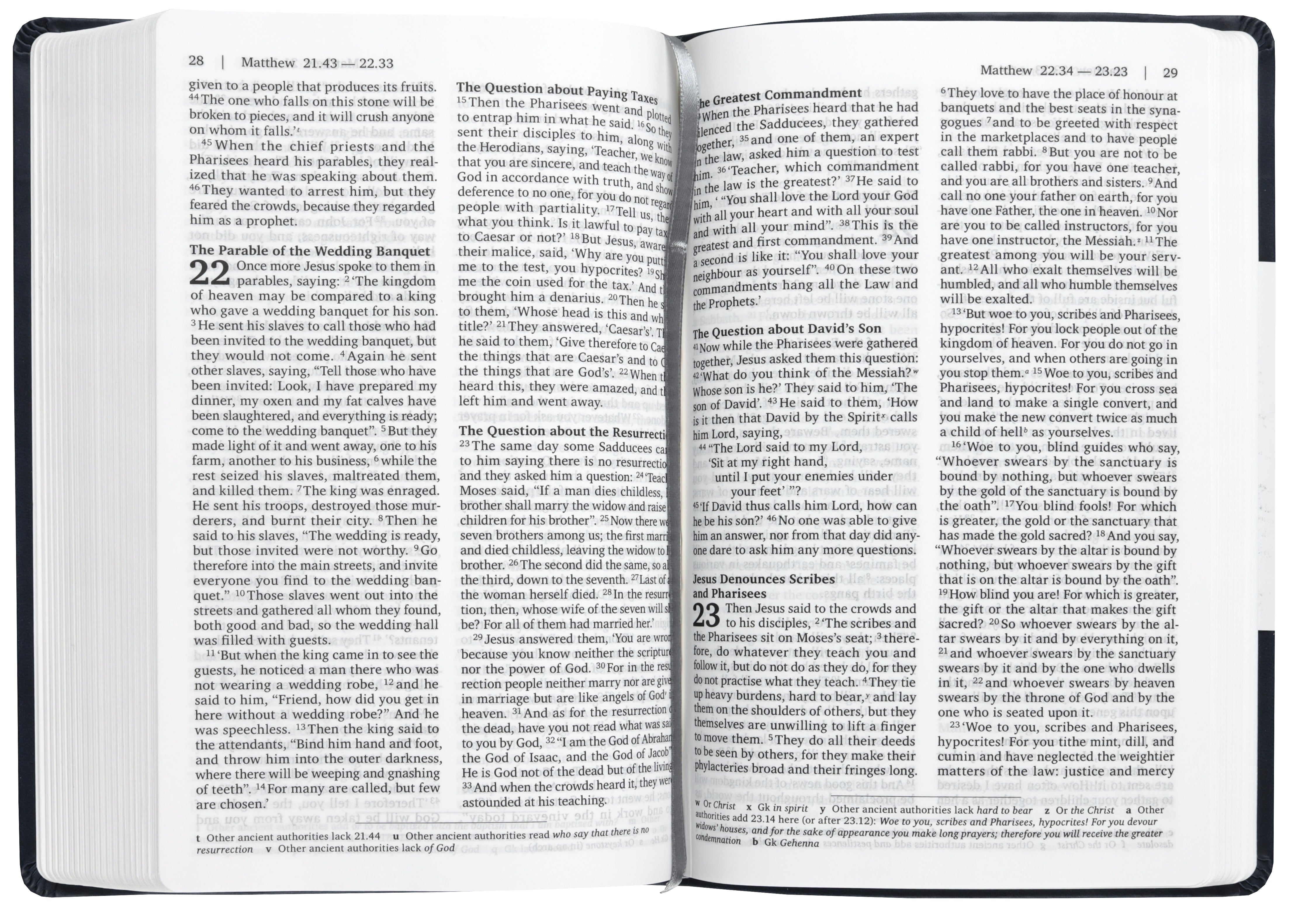 Nrsvue Holy Bible (Anglicised)