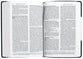 Nrsvue Holy Bible (Anglicised)