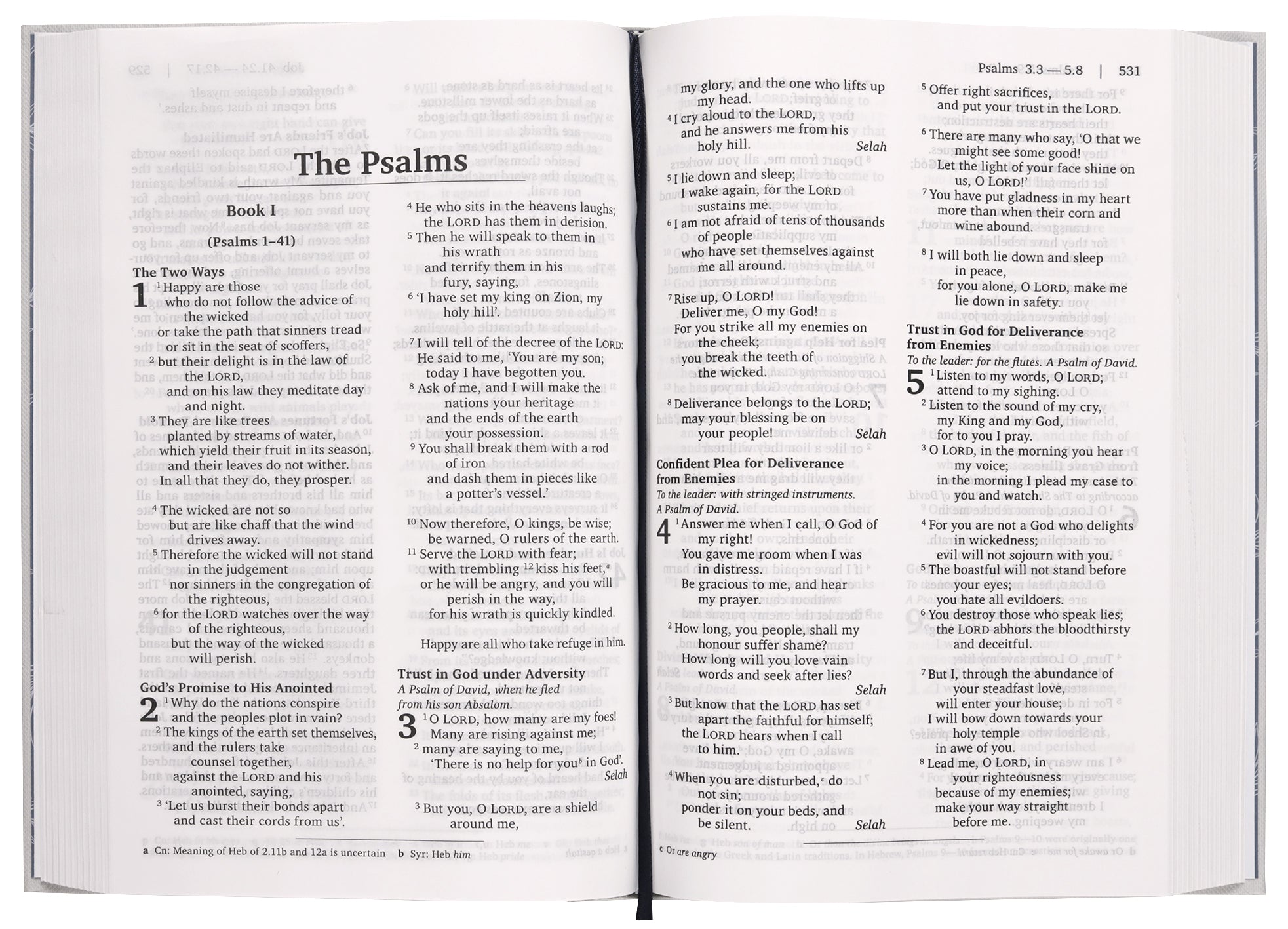 NRSVue Holy Bible (Anglicised)