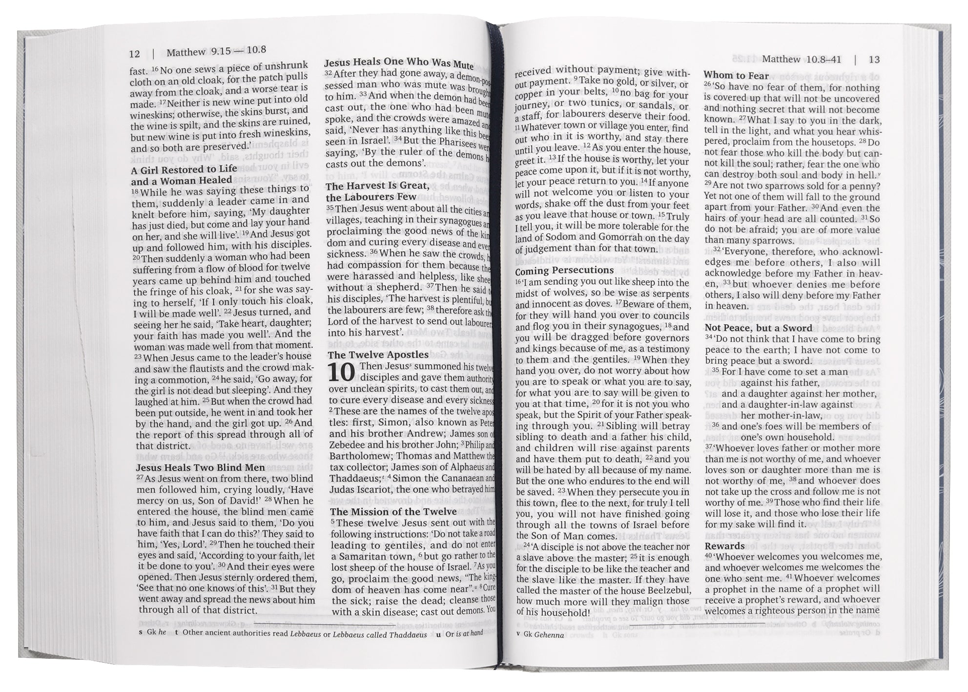 NRSVue Holy Bible (Anglicised)