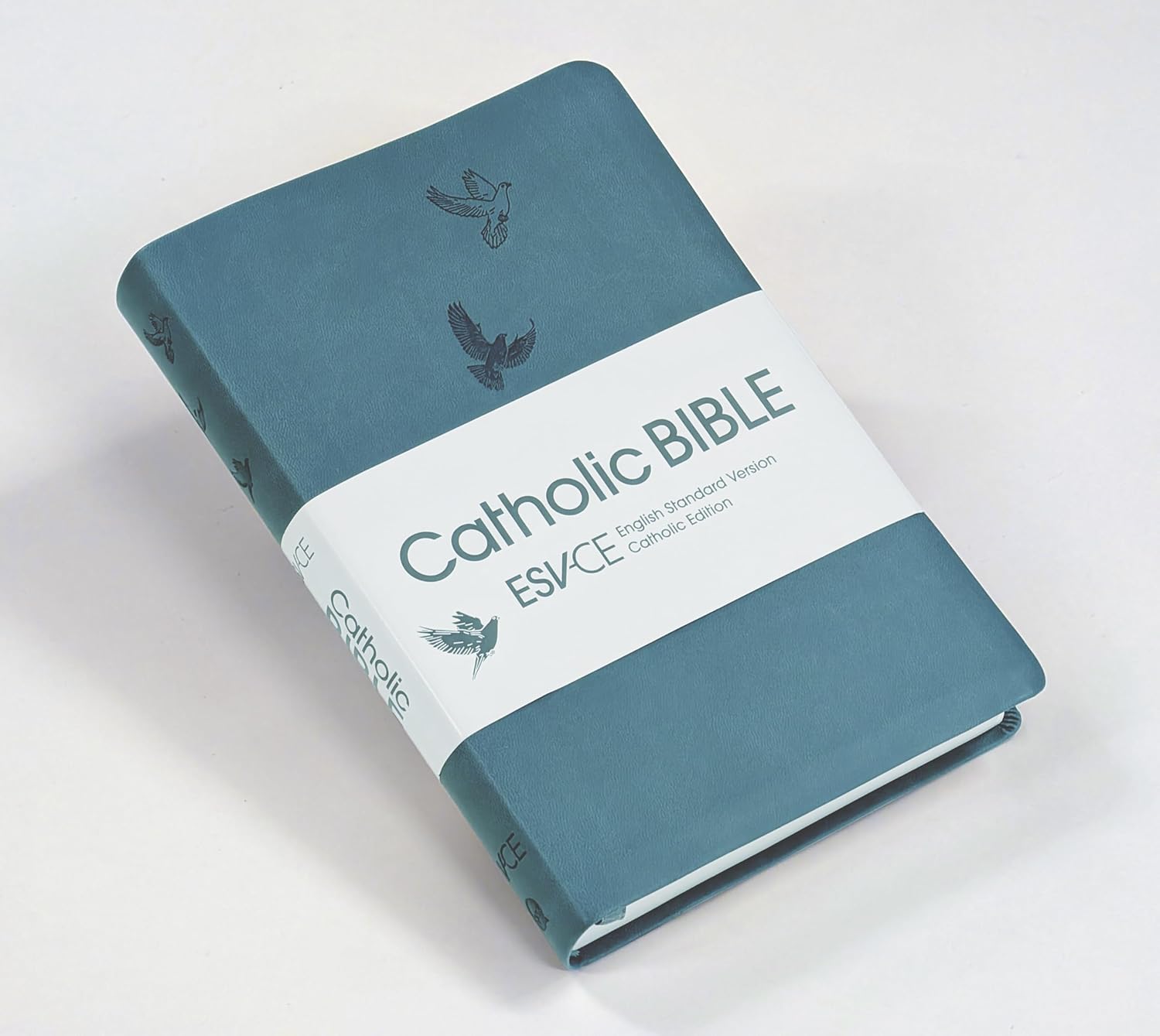 ESV-CE Catholic Bible, Anglicized