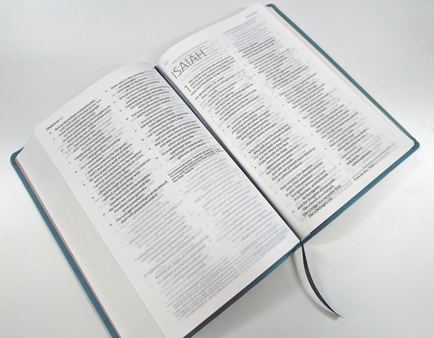 ESV-CE Catholic Bible, Anglicized
