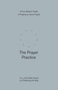 The Prayer Practice: A Four-Session Guide to Praying as Jesus Prayed (Practicing the Way Series(