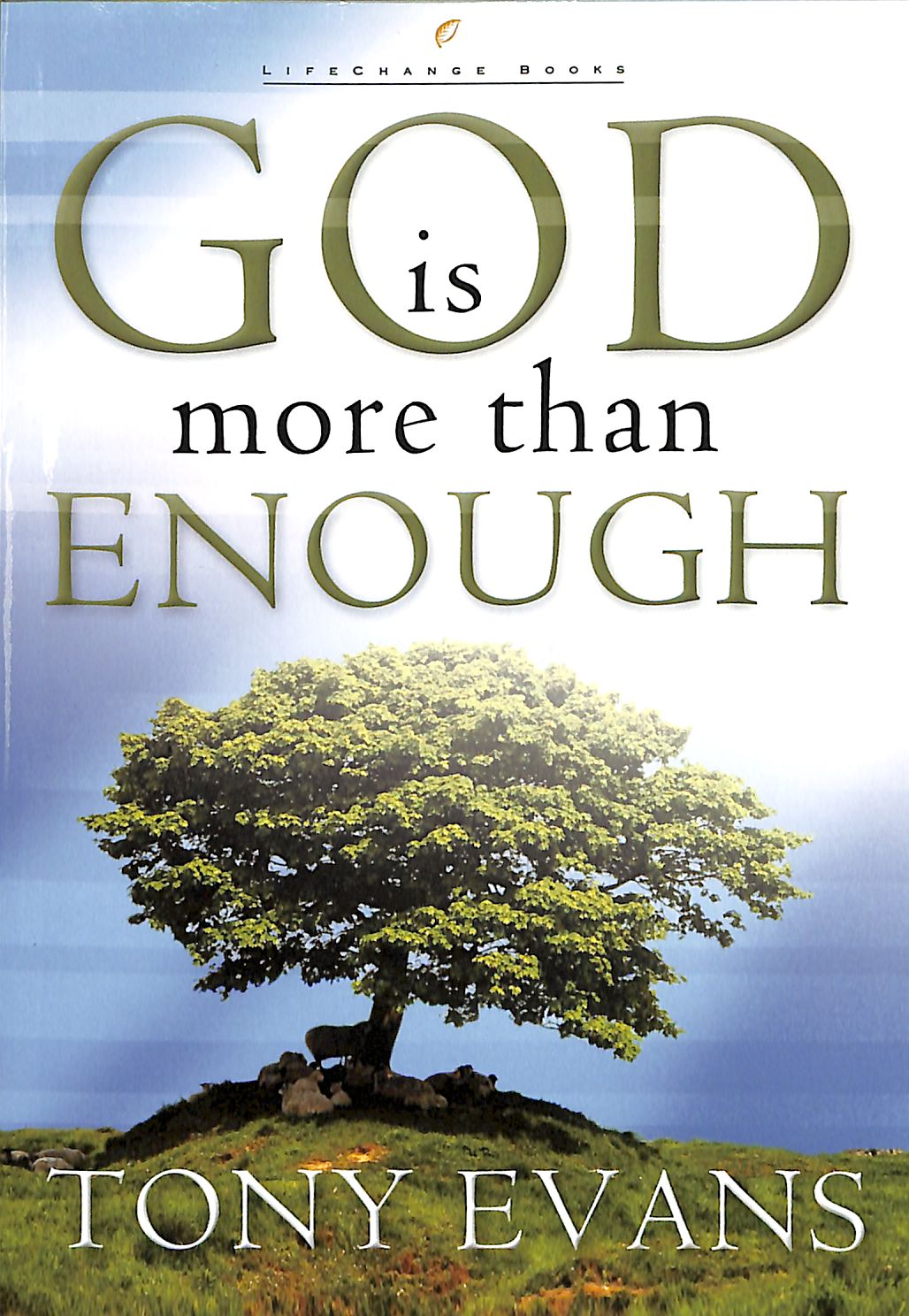 God is More Than Enough