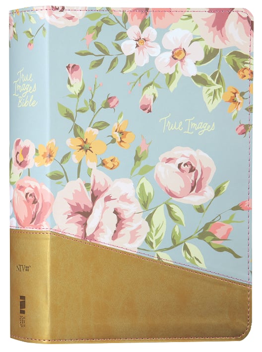NIV True Images Bible For Teen Girls Blue/Gold (Black Letter Edition)