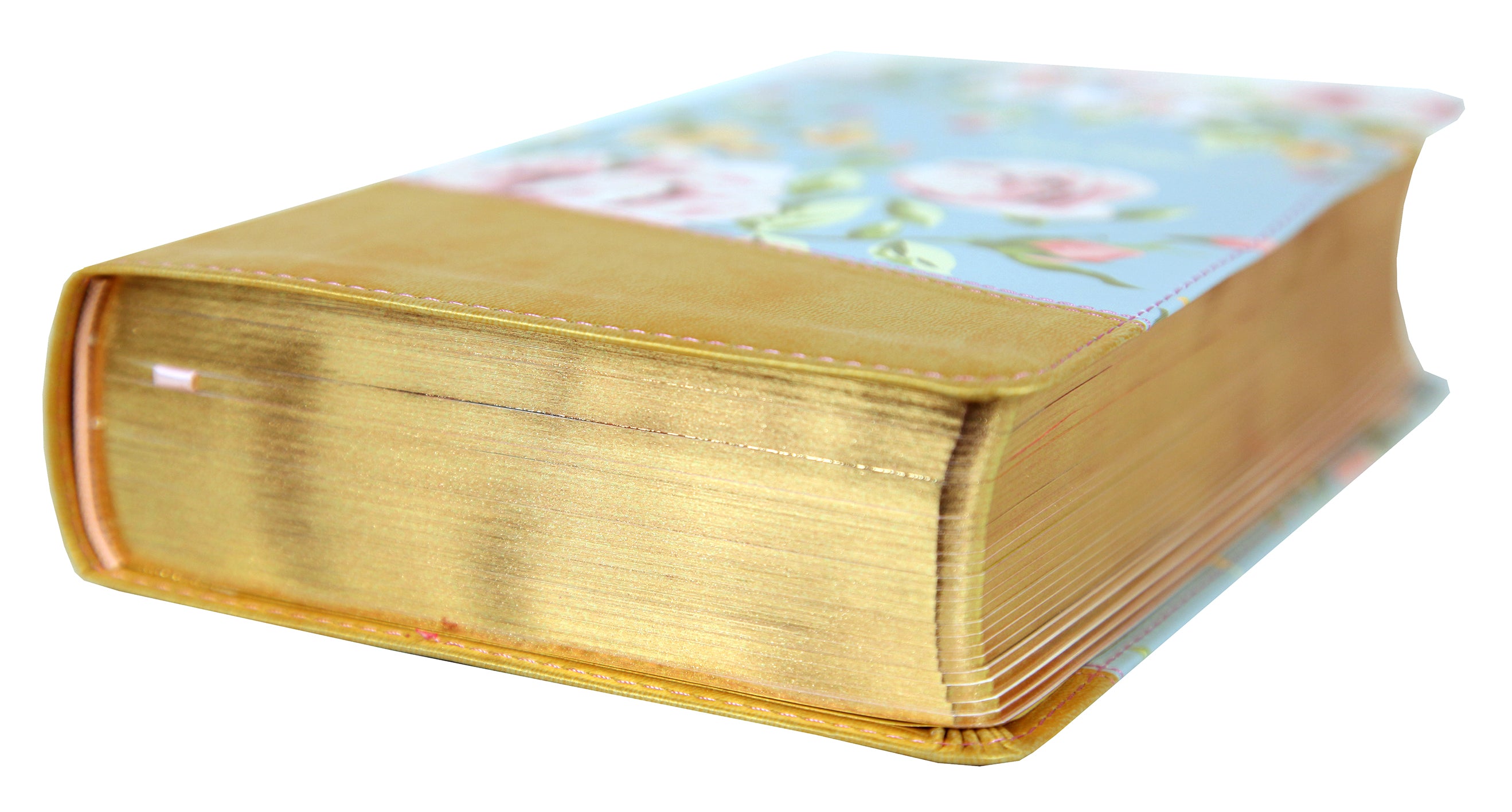 NIV True Images Bible For Teen Girls Blue/Gold (Black Letter Edition)