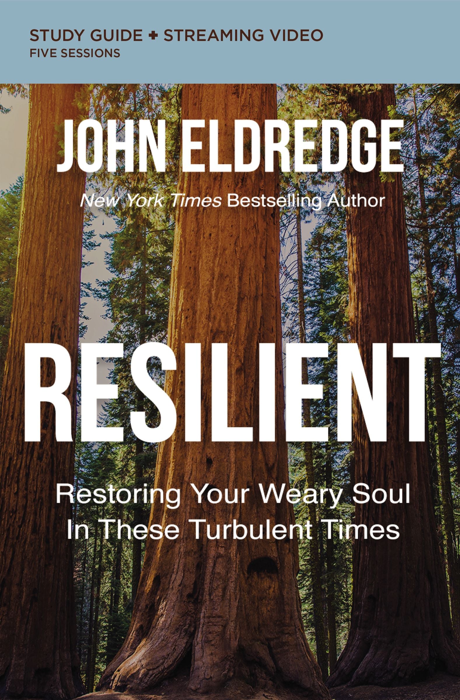 Resilient: Restoring Your Weary Soul in These Turbulent Times (Study Guide Plus Streaming Video)