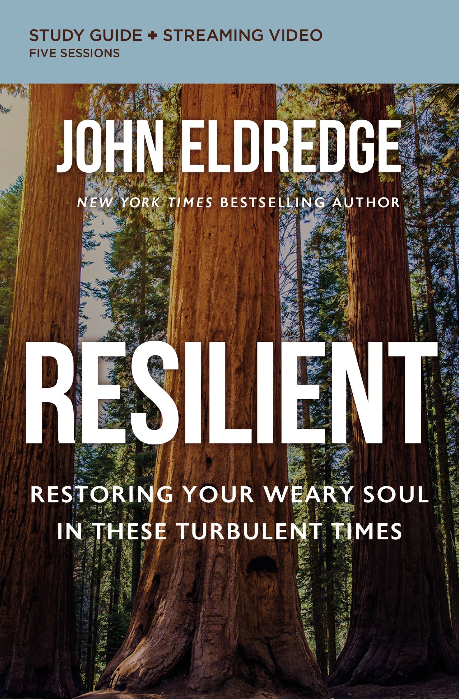 Resilient: Restoring Your Weary Soul in These Turbulent Times (Study Guide Plus Streaming Video)