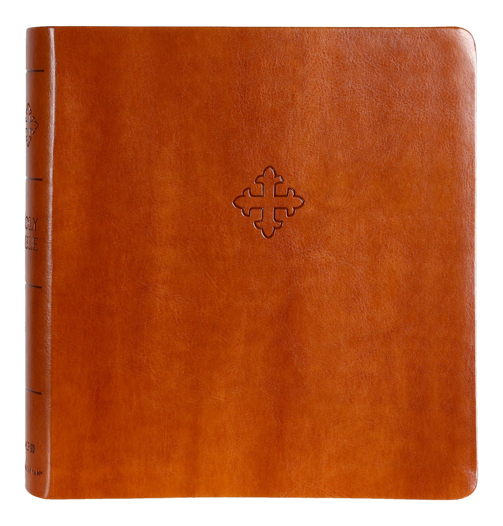 Amplified Holy Bible Xl Edition Brown