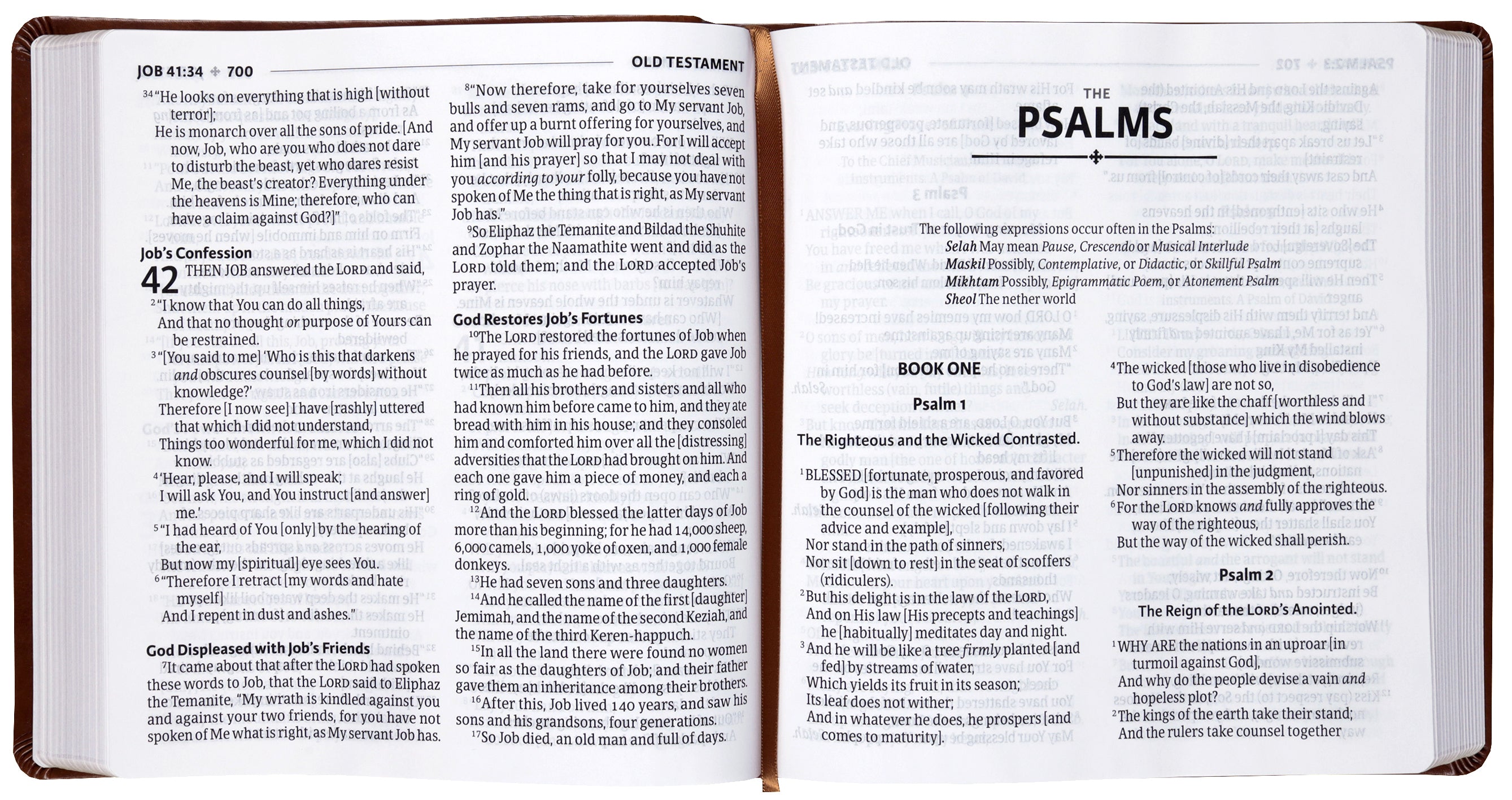 Amplified Holy Bible Xl Edition Brown