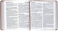 Amplified Holy Bible Xl Edition Brown