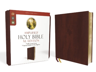 Amplified Holy Bible Xl Edition Burgundy