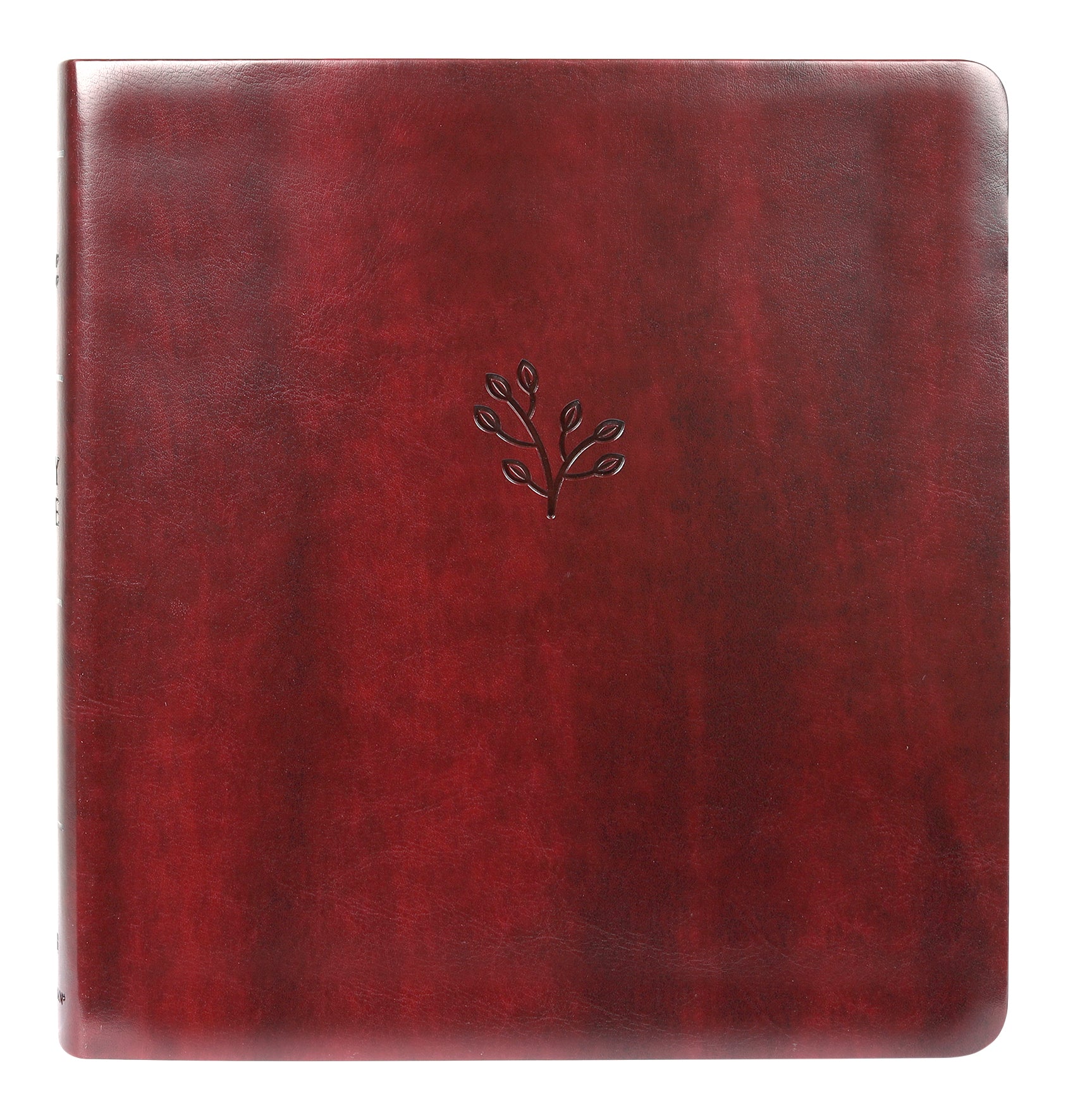 Amplified Holy Bible Xl Edition Burgundy