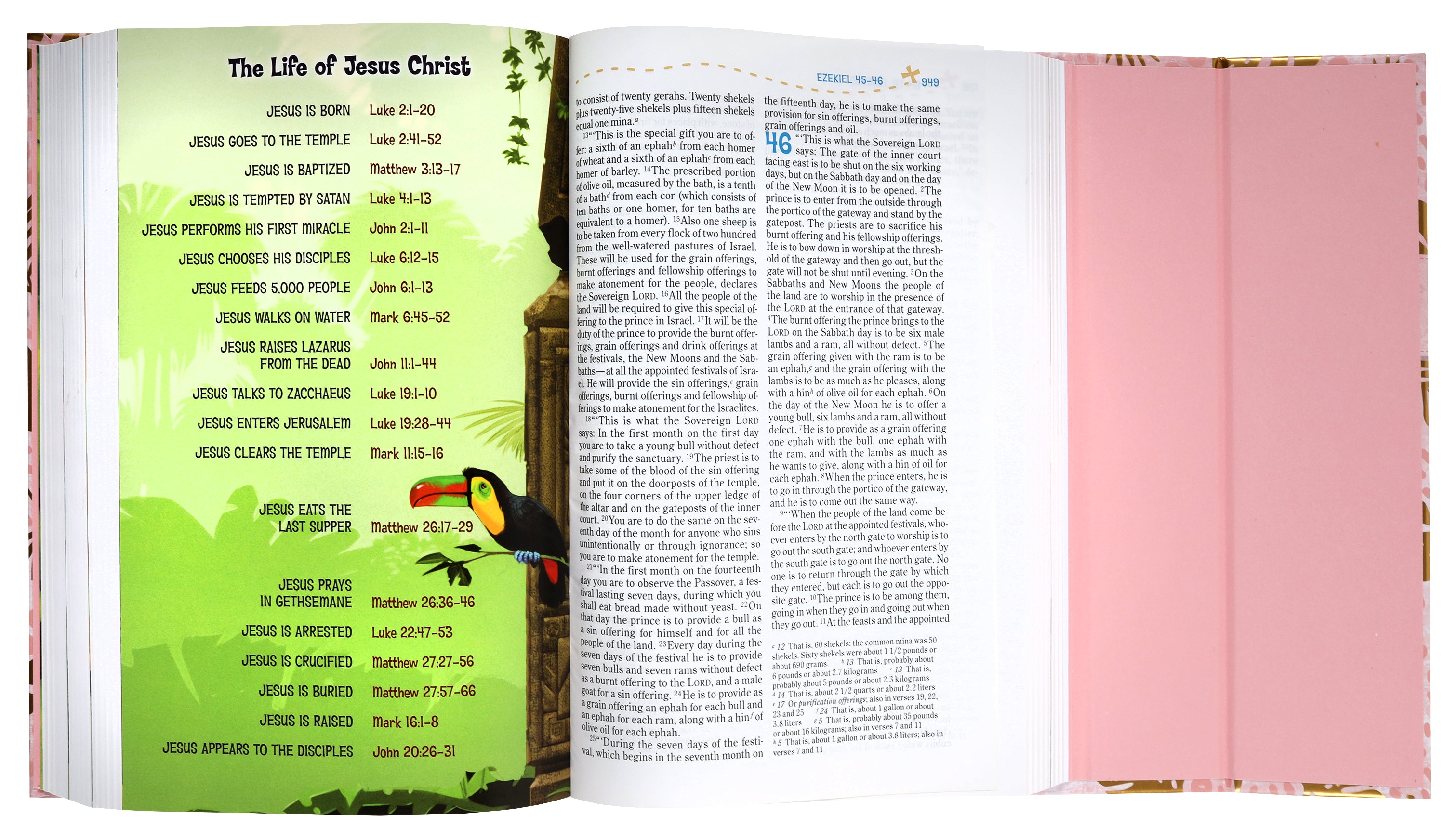 NIV Adventure Bible With Pink Magnetic Closure