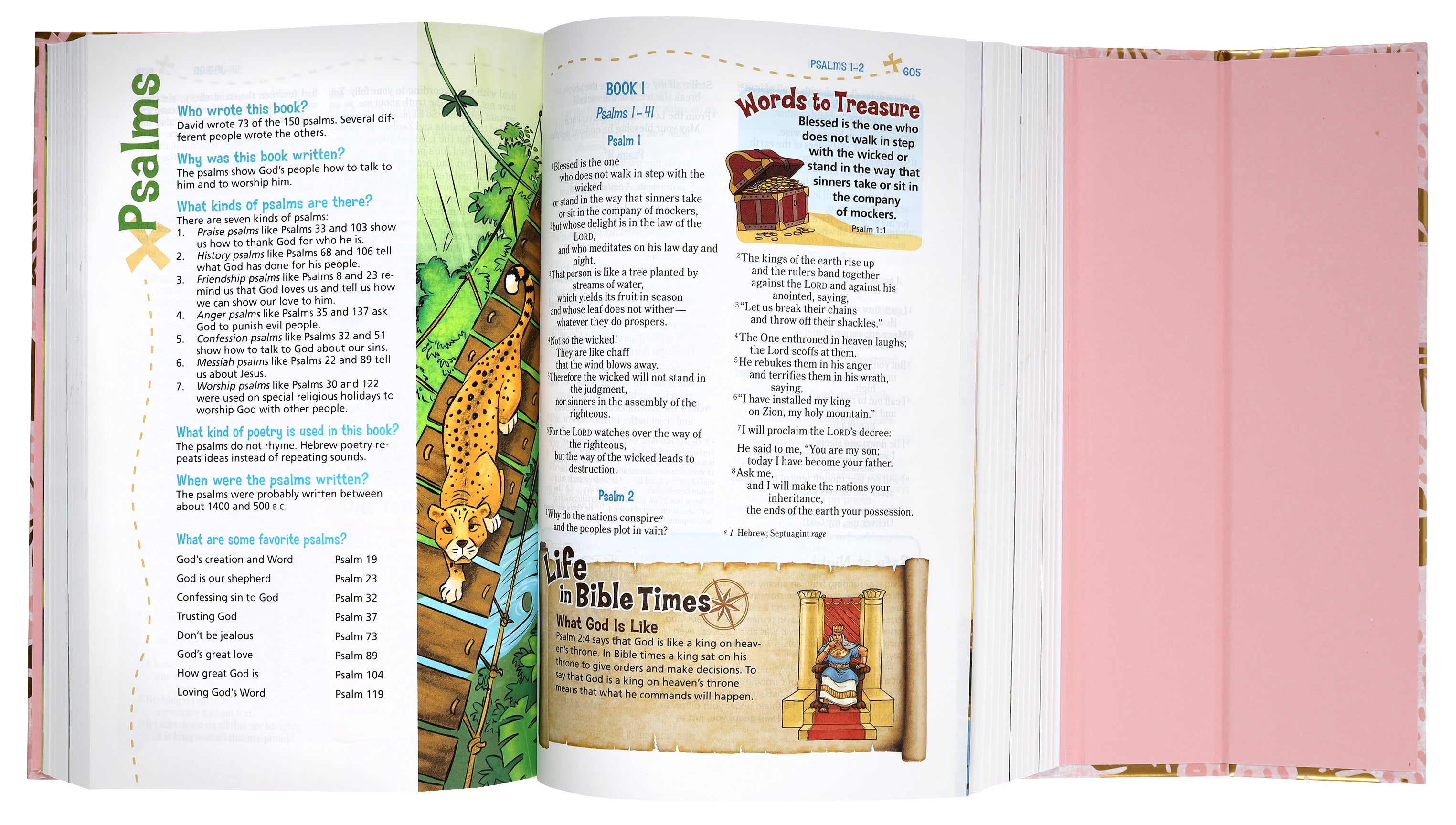 NIV Adventure Bible With Pink Magnetic Closure