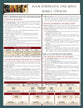 Four Portraits, One Jesus (Laminated Sheet)