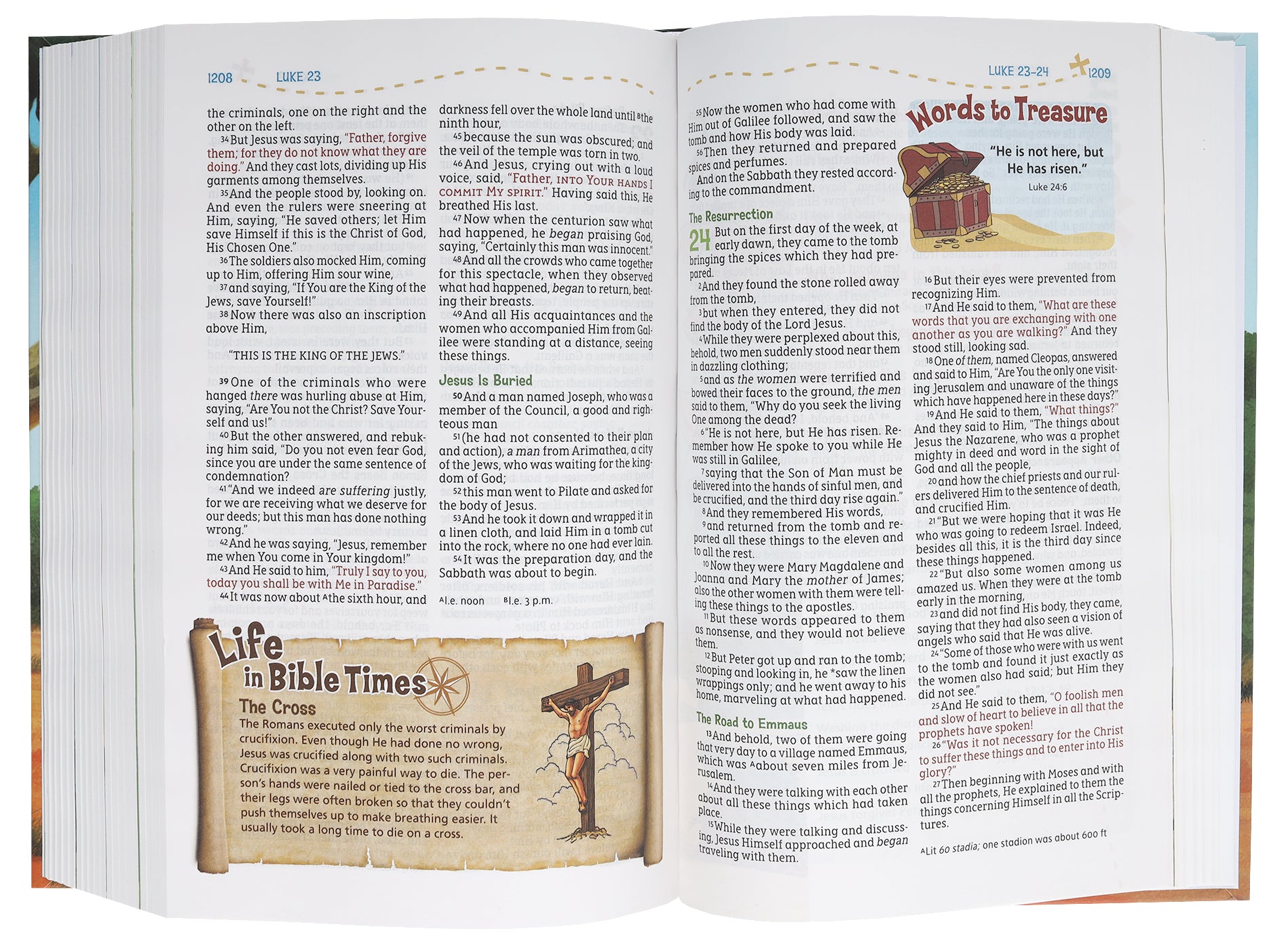 NASB Adventure Bible (Red Letter Edition)
