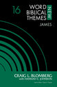 John (#04 in New Word Biblical Themes: New Testament Series)