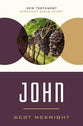 John (New Testament Everyday Bible Study Series)