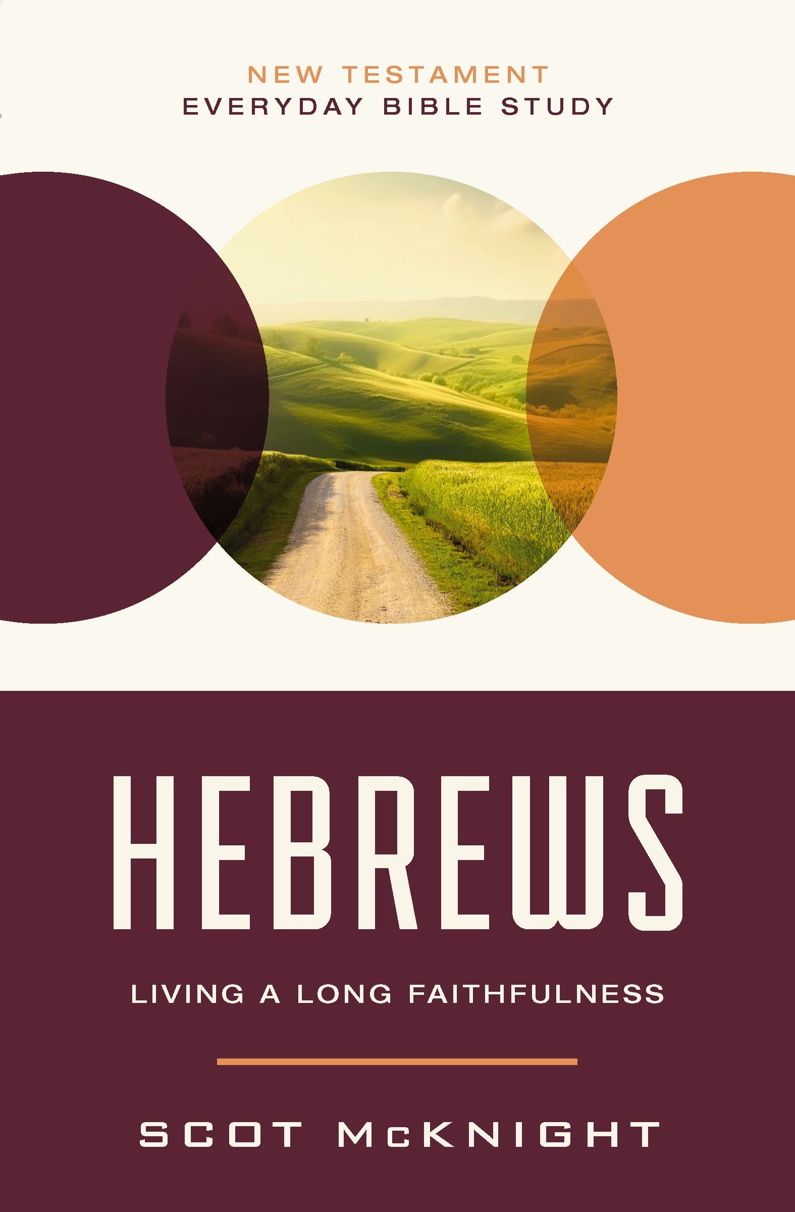 Hebrews: Living A Long Faithfulness (New Testament Everyday Bible Study Series)
