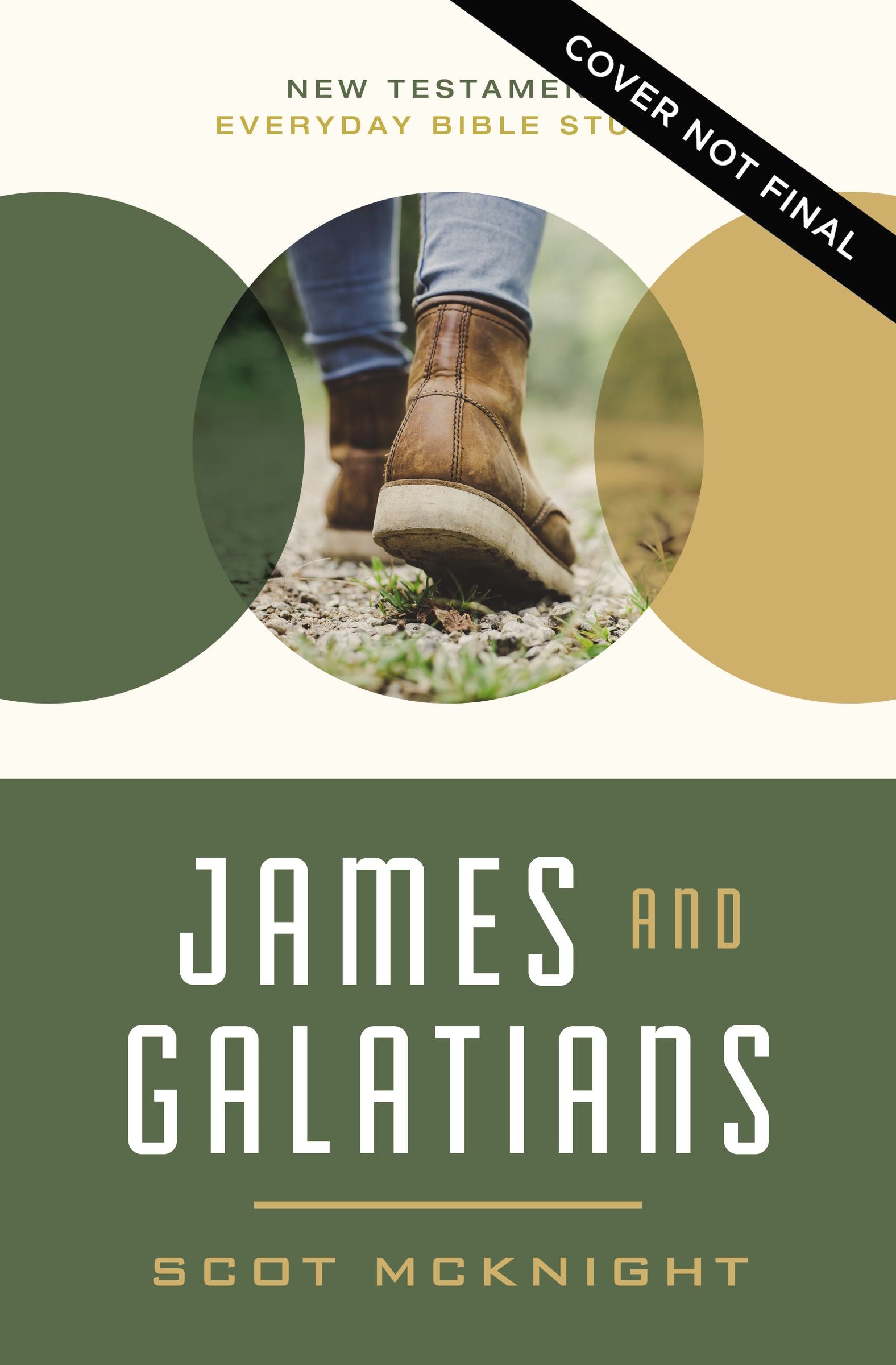 James and Galatians (New Testament Everyday Bible Study Series)