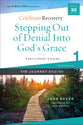Stepping Out of Denial Into God's Grace : A Recovery Program Based on Eight Principles From the Beatitudes (Participant Guide 1) (#01 in Celebrate Recovery Series)