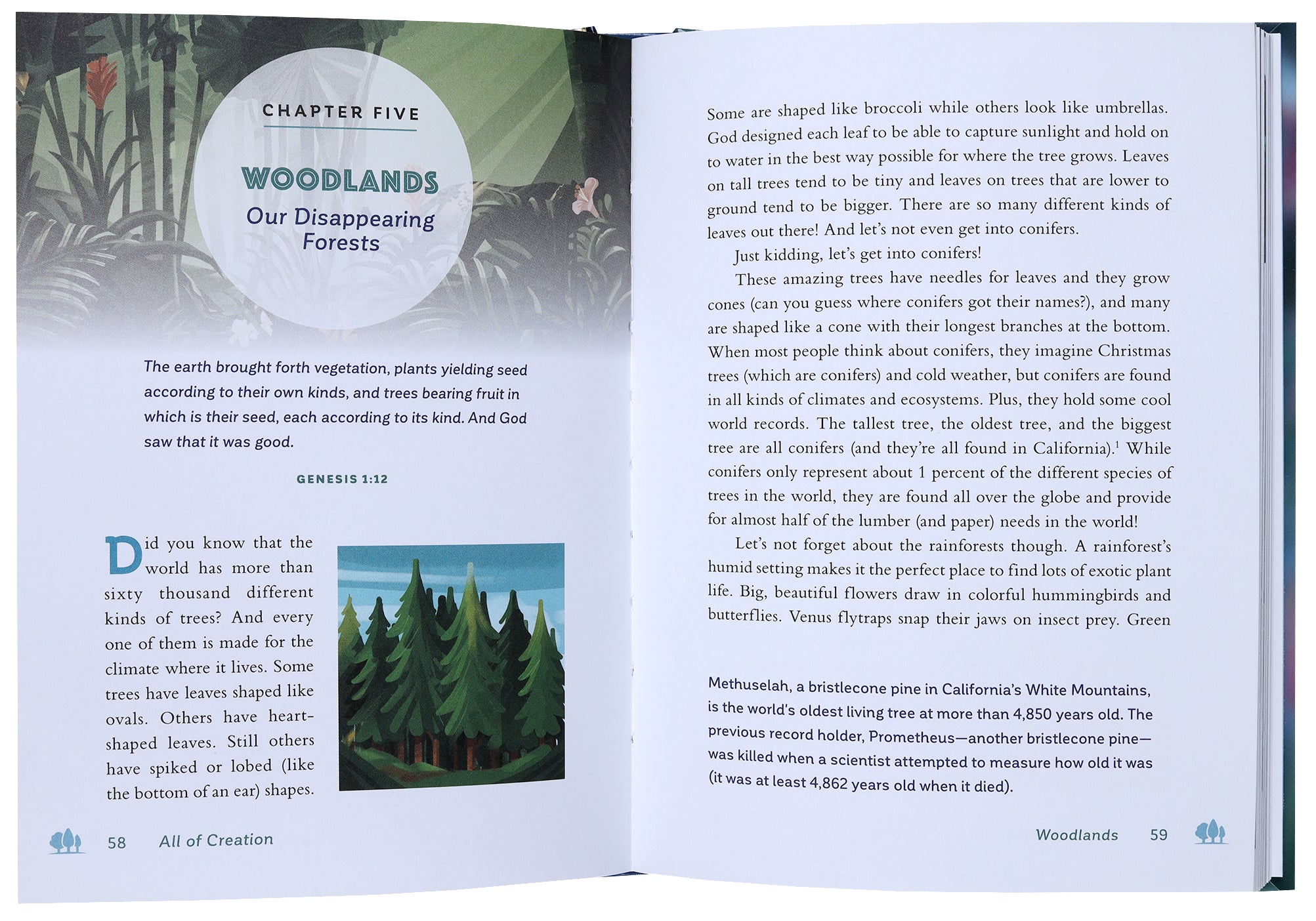 All of Creation: Understanding God's Planet and How We Can Help