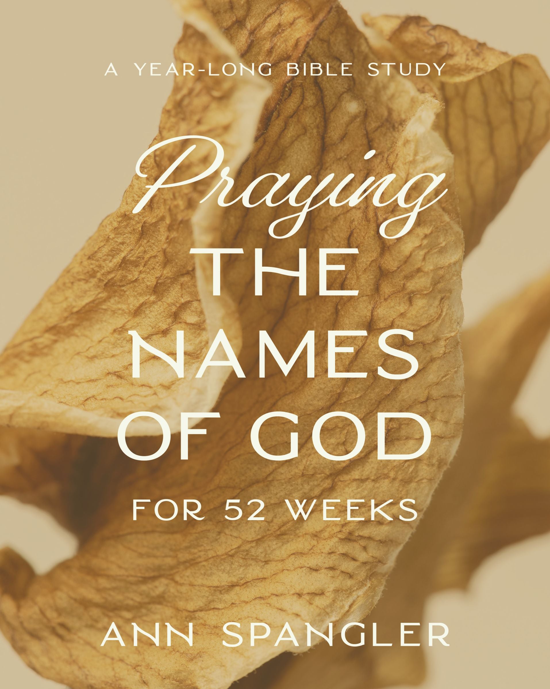Praying the Names of God for 52 Weeks
