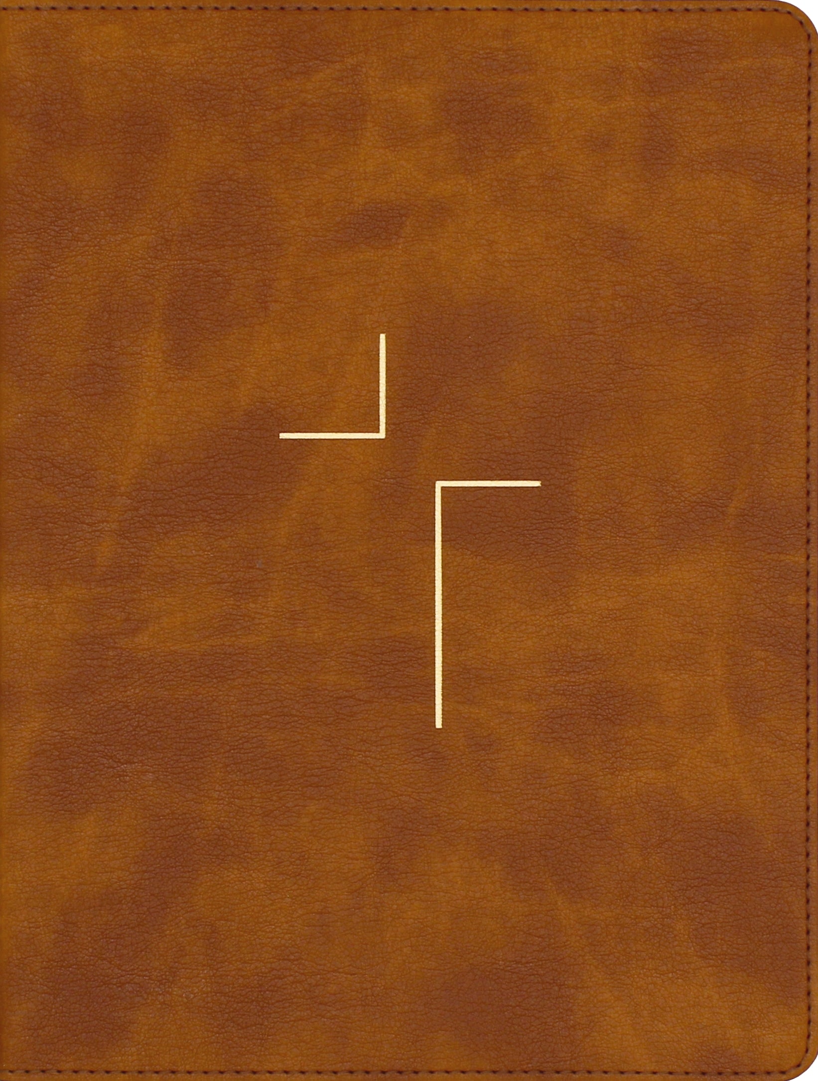ESV The Jesus Bible, Tan