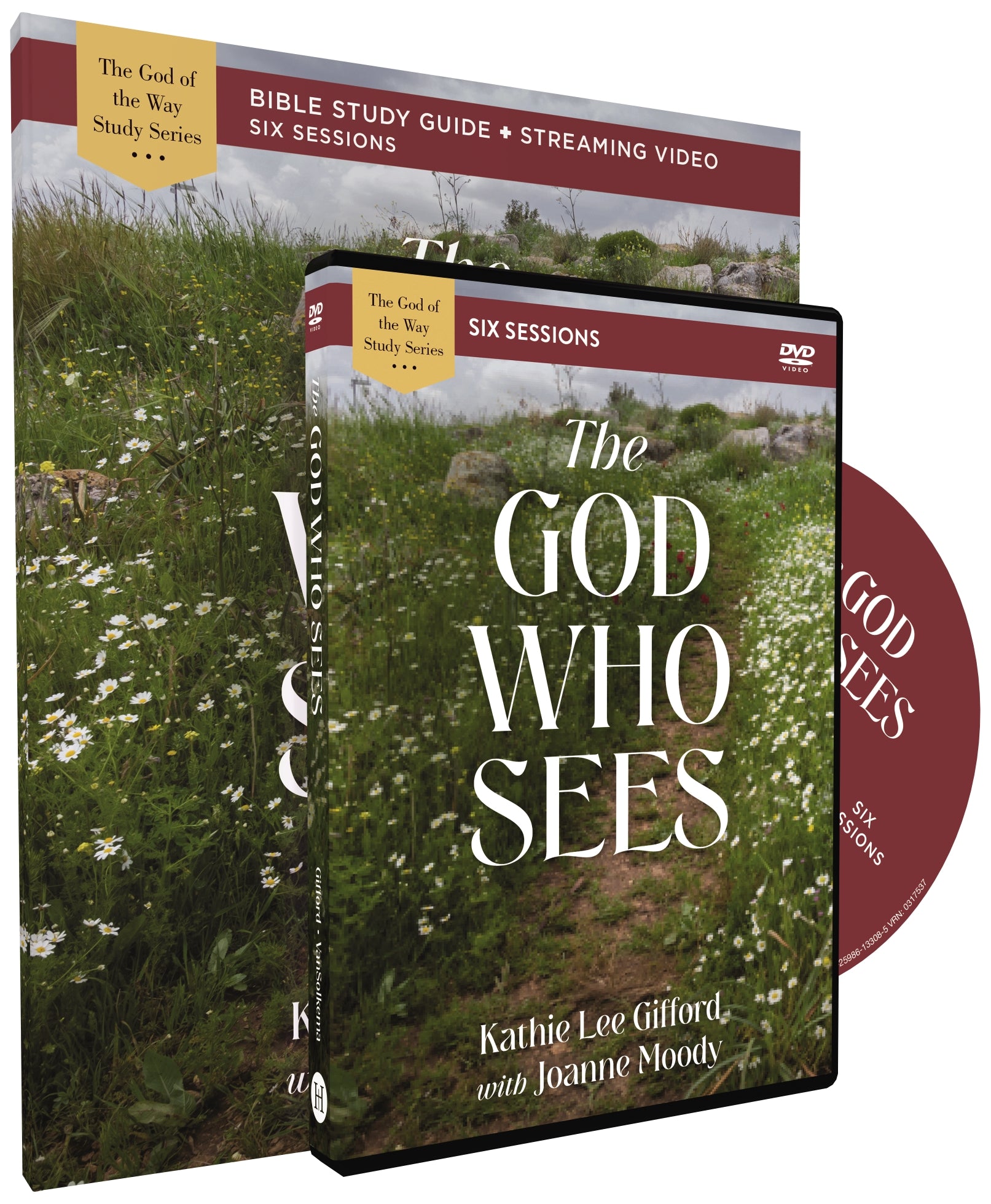The God Who Sees (Study Guide With DVD) (God Of The Way Series)